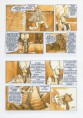/album/galerie-photos/poli-23-jpg/